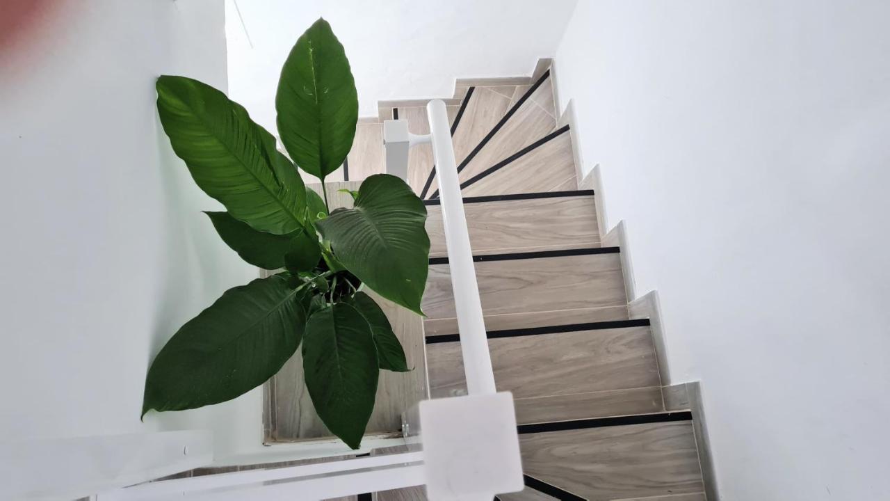 Apartamento Apartamento Jameo Punta Mujeres Exterior foto